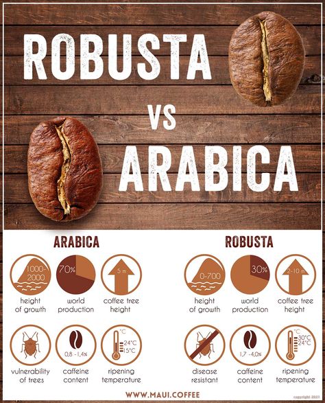 The Rise of Robusta Coffee and its Impact on Hawaii Farmers Arabica Vs Robusta, Coffee Sustainability, Coffee Beans Photography, Coffee Knowledge, Barista Cafe, Arabica Robusta, Coffee Brewing Methods, Robusta Coffee, Coffee Infographic