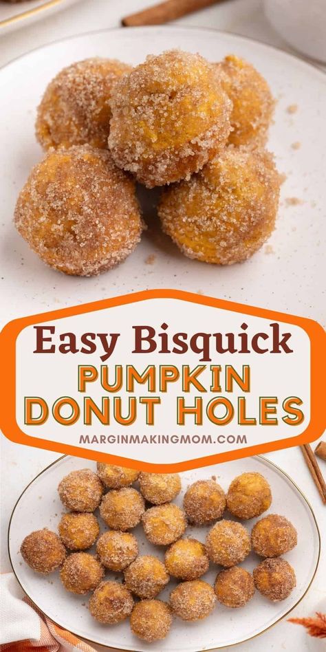 Homemade Donut Holes Recipe Easy, Cinnamon Sugar Pumpkin Donut Holes, Bisquick Doughnuts Recipes, Breakfast With Bisquick, Pumpkin Spice Doughnut Holes, Quick And Easy Pumpkin Recipes, Pumpkin Spice Doughnuts Baked, Pumpkin Spice Donuts Baked, Pumpkin Spice Donuts Recipe