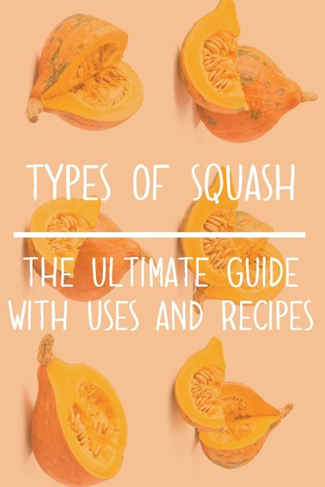 Lakota Squash Recipes, Heirloom Squash Recipes, Different Squash Types, Kuri Squash Recipe, Types Of Squash, Carnival Squash, Sweet Dumpling Squash, Squash Types, Delicata Squash Recipe