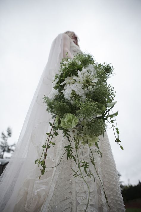 Queen Anne's lace grows wild and is abundant in August. White country brides bouquet??? @Melissa Dodge Queen Anne's Lace Wedding, Queen Annes Lace Flower Arrangements, August Bouquet, White Queen Anne's Lace, Wedding Bouquet Queen Annes Lace, Queen Annes Lace Bouquet, Queen Anne’s Lace Wedding Flowers, Trailing Bouquet, Lace Bouquet