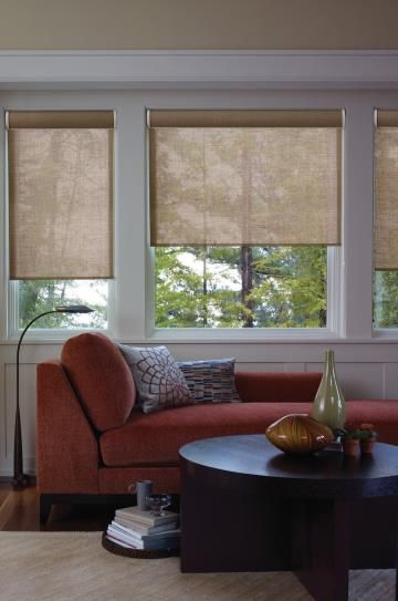 Make a Subtle Statement with Roller Shades Roller Shades Living Room, Shades Living Room, Couch Grau, Solar Roller Shade, Budget Blinds, Diy Window Treatments, Woven Wood Shades, Rustic Industrial Decor, House Blinds