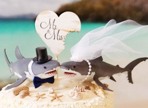 7,724 mentions J’aime, 185 commentaires – Ocean Ramsey #OceanRamsey (@oceanramsey) sur Instagram : « Mr. And Mrs Shark 😍😘😛🥰...When asked if I’ve planned my wedding....This is the extent of my wedding… » Shark Wedding, Nautical Wedding Cakes, Beach Theme Wedding Cakes, Tropical Wedding Theme, Shark Cake, Hawaii Destination Wedding, Palm City, Beach Wedding Cake, 6 Cake