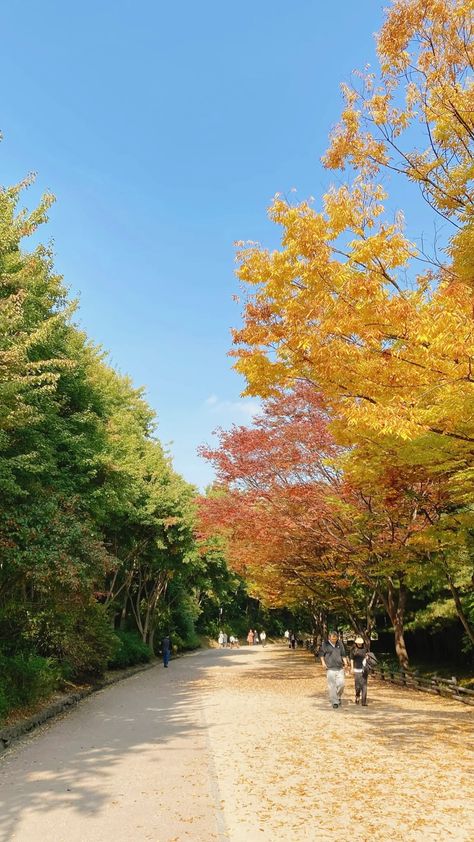 Best things to do in Seoul beyond shopping, aesthetics & K-pop - Tofu V Travels Seoul Forest Park, Shopping Aesthetics, Seoul Forest, Seoul Itinerary, Travel Wallpapers, Things To Do In Seoul, Cities In Korea, Jeju City, Visit Seoul