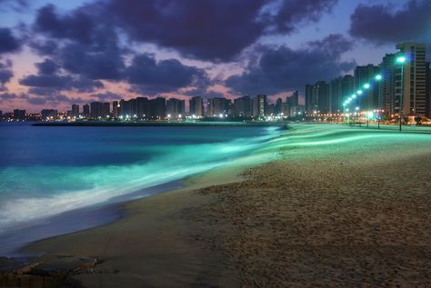 Veja as dicas de vida noturna na cidade, bares em Fortaleza com musica ao vivo, o que fazer a noite em Fortaleza com a família, lugares românticos em Fortaleza, e o que fazer a beira  The post O que fazer a noite em Fortaleza: 9 dicas para anotar appeared first on Dicas de Viagem. Lonely Heart, Beach Vibe, City Lights, Travel Destinations, Planets, Beautiful Places, Places To Go, Brazil, Water