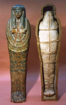 Mummy Ancient Egypt Mummies, Egyptian Statues, Ancient Egypt Projects, Egypt Mummy, Egypt Project, Egypt Museum, Egyptian Mummies, Egypt History, Egyptian Culture