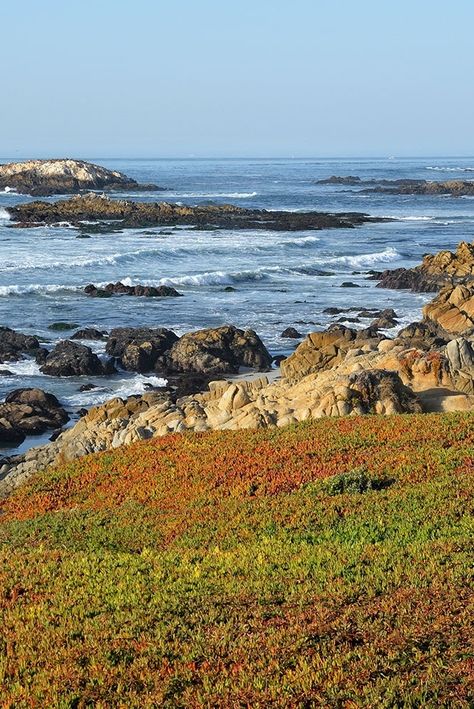 Pebble Beach California, 17 Mile Drive, Sound Of Waves, The Sound Of Waves, Waves Crashing, Golf Resort, Travel Sites, Beach California, Pebble Beach