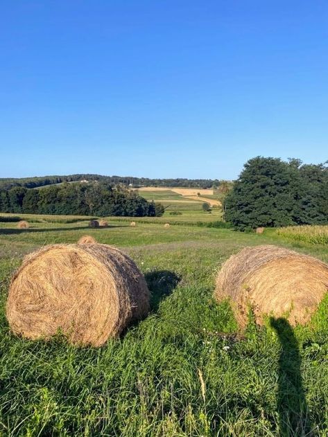 Prarie Core Aesthetic, Farmland Aesthetic, Cottage Core Nature, Tegridy Farms, Pony Aesthetic, Prairie Aesthetic, Field Aesthetic, Farm Aesthetic, Countryside Aesthetic