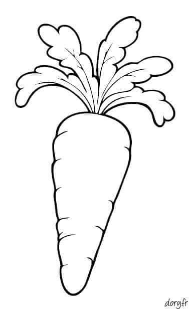 Carrot Drawing, Vegetable Coloring Pages, Art Coloring Pages, Fruit Coloring Pages, Easter Coloring Pages, Easy Drawings For Kids, Easter Art, Animal Coloring, Hand Embroidery Art