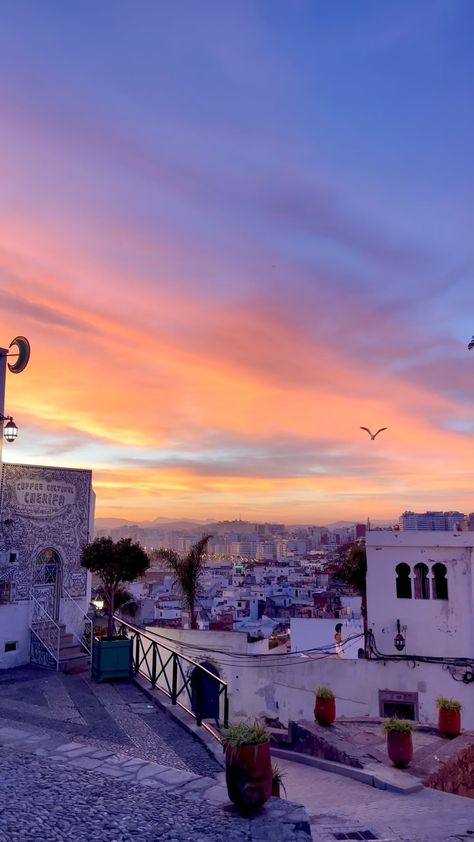 Out in Tangier (@out_in_tangier) • Instagram photos and videos Tangier Morocco, 25k Followers, Visit Morocco, Tangier, Morocco, Instagram Photos, Architecture, Photo And Video, History