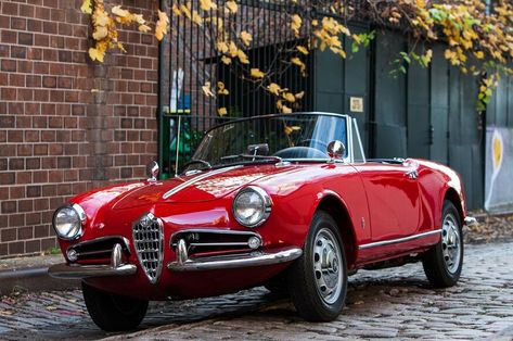 Just Listed: 1962 Alfa Romeo Giulietta Spider Veloce Alfa Romeo Spider Veloce, Alfa Romeo Giulietta Spider, Alfa Romeo Gtv6, Alfa Romeo Giulia Quadrifoglio, Alpha Romeo, Car Retro, Alfa Romeo Mito, Alfa Romeo 8c, Alfa Alfa