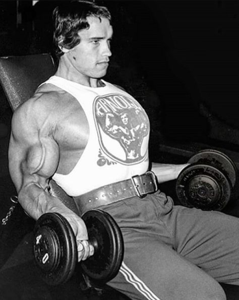 Arnold Aesthetic, Arnold Schwarzenegger Muscle, Arnold Bodybuilding, Arnold Photos, Arnold Schwarzenegger Bodybuilding, Schwarzenegger Bodybuilding, Full Body Training, Fitness Funny, Gym Aesthetic