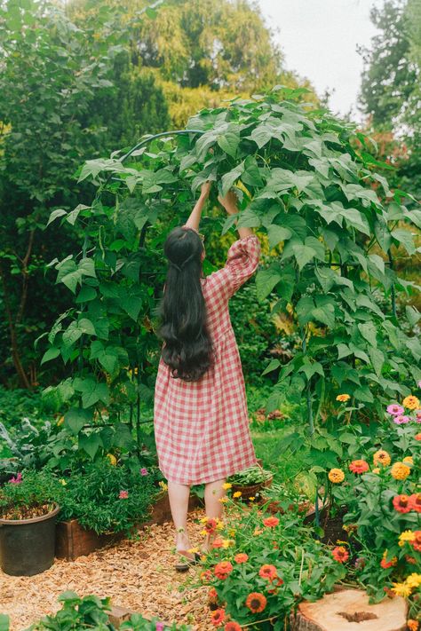 Slow days of living the Ghibli life — HER 86m2 - by Thuy Dao Her 86m2, Veggies Garden, Thuy Dao, Slow Days, Vegetables Garden, Contact Print, Big Garden, Life Video, Cooking Art