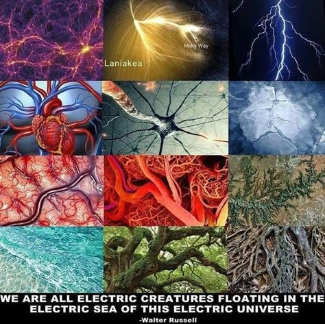 Electric Universe, Mother Gaia, Sacred Garden, Spirit Science, Everything Is Connected, Occult Art, Body Energy, Visionary Art, Patterns In Nature