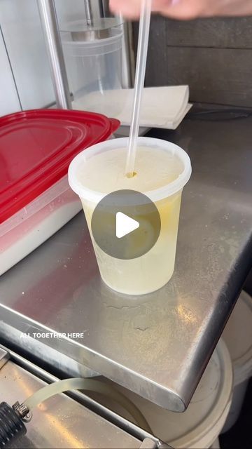 Elizabeth Williams on Instagram: "An easy & simple fresh sparkling lemonade recipe that is so good!" Food Truck Lemonade, Fair Lemonade Recipe Lemon Shake Up, State Fair Lemonade Recipe, Carnival Lemonade Recipe, Lemonade Business Ideas, Lemonade Food Truck, Shaken Lemonade, Carnival Lemonade, Lemonade Float