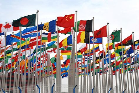 EXPO flags. Variety flags on the EXPO in Shanghai #Sponsored , #ad, #ad, #EXPO, #Variety, #Shanghai, #flags Austria Flag, Certificate Of Origin, National Flags, Visual Board, Video Production Company, Business Technology, National Flag, Commonwealth, Christmas Art