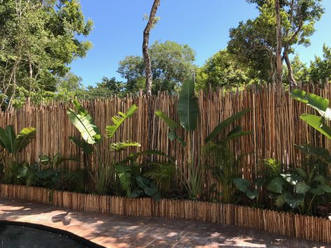 Bamboo Partition Wall Outdoor, Earth Colour Palette, Bamboo Fencing, Outdoor Beer Garden, Coffee House Design, Lampang, Landscape Design Drawings, Outdoor Restaurant Design, Bamboo House Design