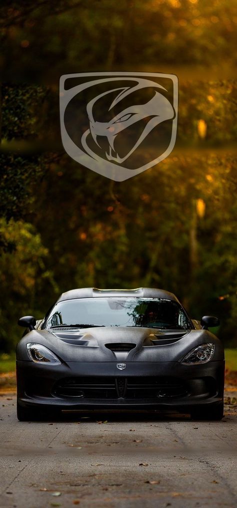 its a wallpaper that's it Dodge Viper Wallpaper Iphone, Dodge Viper Wallpaper, Viper Wallpaper, Viper Car, Black Car Wallpaper, Dark Souls Wallpaper, Dodge Viper Srt10, Car Hub, Wallpaper Car