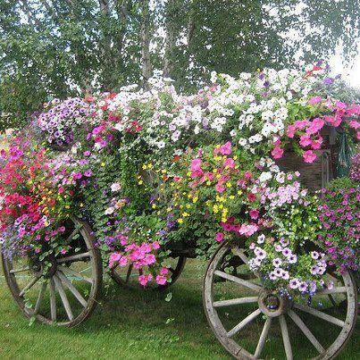 I love this! Vintage Garden Cart filled full with Vintage Wild Flower and garden flower love Farm Dinner, Garden Wagon, Garden Cart, Flower Baskets, Flower Cart, Magic Garden, Garden Containers, Deco Floral, Gorgeous Gardens