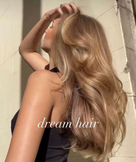 Golden Bombshell Hair, Light Honey Blonde Hair With Highlights, Healthy Blonde Hair Color, Blonde Hair Color Ideas For Brunettes Golden Brown, Golden Brown Hair Color Honey, Dirty Blonde Brunette Hair, Golden Dark Blonde Hair, Golden Beige Blonde Hair, Blondette Hair