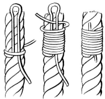 Splices and  Whipping Knot Camping Knots, Survival Knots, Knots Guide, The Knot, Knot, Knots Diy, Rope Knots, Paracord Knots, Fishing Knots