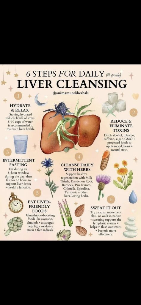 Liver Cleanse Diet Plan, Liver Chi Stagnation, Liver Cleansing Diet, Natural Liver Cleanse, Cleanse Diet Plan, Liver Cleanse Diet, Liver Cleansing, Liver Detox Diet, Cleanse Your Liver