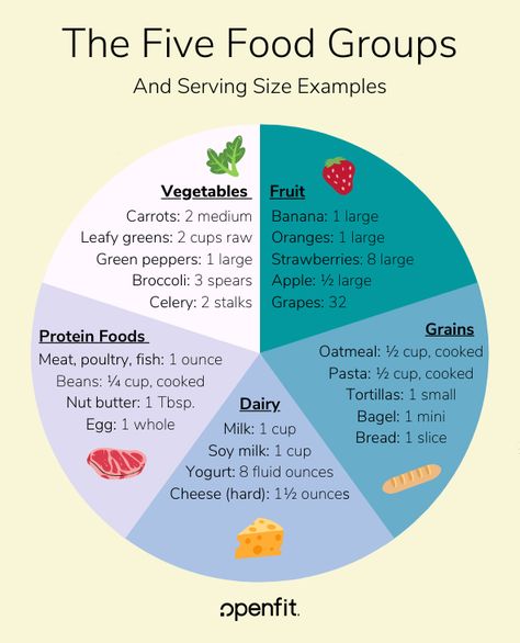 Food Groups Chart, Food Groups For Kids, Food Pyramid Kids, Healthy Food Activities For Preschool, Healthy Eating Pyramid, Healthy Food Activities, Five Food Groups, Basic Food, Nutrition Chart