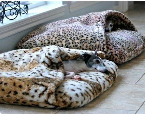 . Comfortable Beds, Cozy Dog Bed, Cozy Dog, Dog Houses, Pet Furniture, Diy Stuffed Animals, Dog Coats, Diy Dog Stuff, Dog House