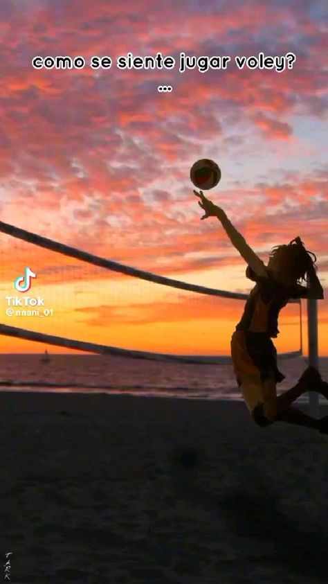 Volleyball Images, Volleyball Photography, Volleyball Posters, Volleyball Wallpaper, Foto Sport, Volleyball Photos, Ball Aesthetic, Volleyball Inspiration, Volleyball Workouts