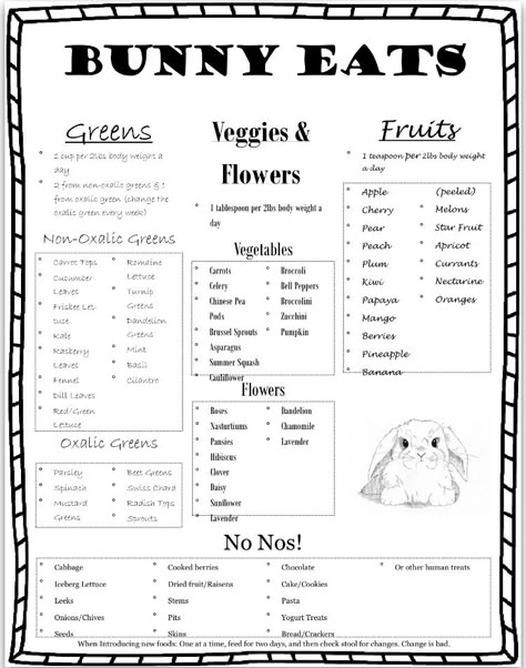 Bunny Entertainment, Cheap Bunny Cage Ideas, Bunny Food Ideas, Diy Bunny Cage Indoor House Rabbit Ideas, Bunny Feeding Schedule, Bunny Diet, Rabbit Room Setup, Bunny Diet Chart, Bunny Checklist