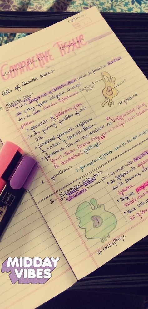 Medical aesthetic note making ideas and productivity builder Connective Tissue Anatomy Notes, Topic Decoration Ideas, Biology Tissues Notes, Notes Making Ideas Biology, Nervous Tissue Notes, Connective Tissue Notes, Tissues Aesthetic, Tissues Notes, Neet Aesthetic