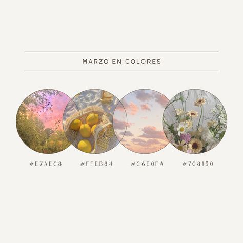 Marzo, mes de comienzos, de equinoccio y de inicio de la primavera 💫 Marzo, en colores 🥂💐⛅️🍋  #colorpalette #colorpsychology #colorstory #arstheticcolors #aestheticstyle  #colorful #colorinspiration #aesthetic #marchaesthetic #springpalette #marchpalette #springcolor #marchcolor Color Palette, Color