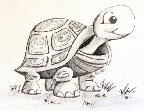 Black and white graphite and charcoal drawing of a turtle Drawing Of A Turtle, Cute Turtle Drawings, Tortoise Drawing, Turtle Sketch, Cartoon Turtle, Turtle Drawing, Turtle Art, Cute Turtles, A Turtle