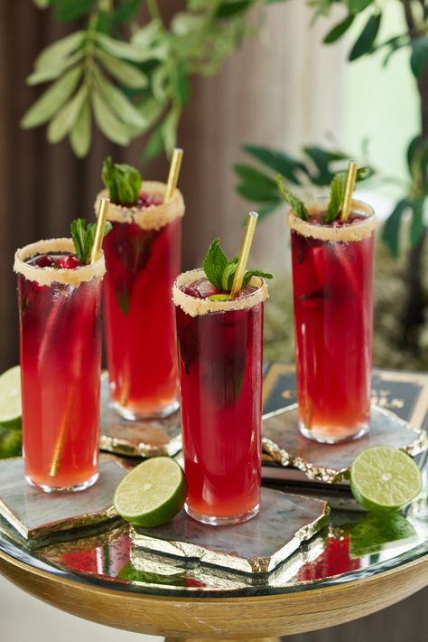 Blood Orange & Cranberry Mojito - Happily Eva After Blood Orange Ginger Cranberry Mojito, Cranberry Mojito Recipe, Fall Mojito, Pomegranate Vodka Cocktail, Carnival Drinks, Blood Orange Mocktail, Christmas Mojito, Cranberry Mojito, Christmas Themed Cocktails