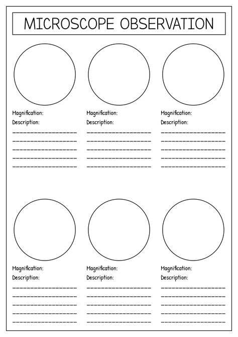 Microscope Worksheet, Microscope Lab, Microscope Activity, Ram Animal, Studying Biology, Cell Diagram, Angles Worksheet, Study Biology, Word Search Printables