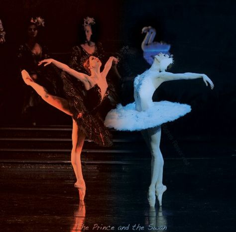 Ballet Poses Swan Lake, Swan Lake Halloween Costume Duo, White Swan Aesthetic Ballet, Black Swan Vs White Swan, Ballet Black Swan, Ballet Collage, White And Black Swan, Romantic Collage, Layers Art