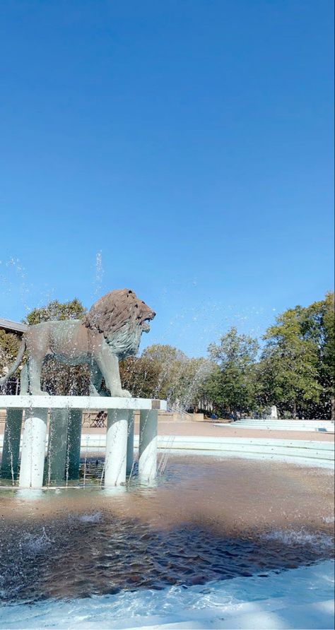 Lion Fountain, Old Dominion University, College Vision Board, Old Dominion, College Life, Norfolk, The Dream, Virginia, Lion