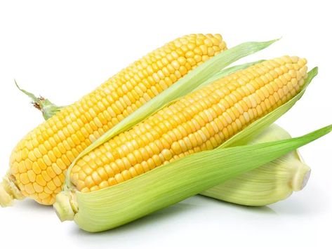 Field Corn vs. Sweet Corn: What's the Difference? Field Corn, Corn Fields, Sweet Corn, Flavor Profiles, The Two, Side Dishes, How To Use, Corn, Key