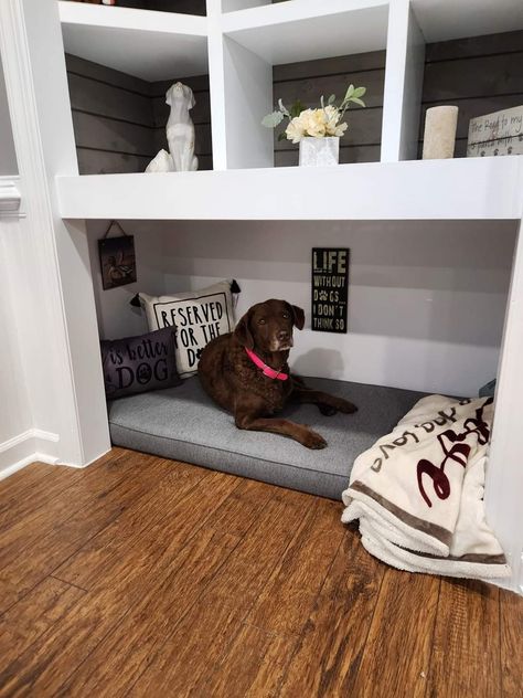 Office Dog Bed, Entry Closet Ideas, Built In Dog Bed, Dog Nook, Living Room Closet, Small Sitting Area, Dog Den, Bedroom Built Ins, Dog Storage