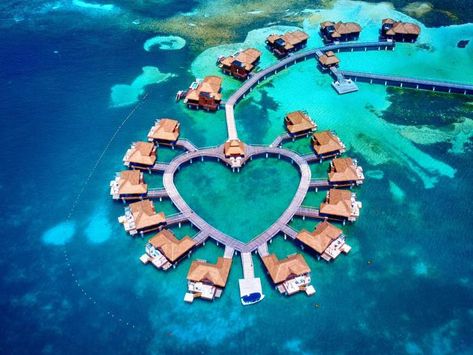 Overwater bungalows drone shot of Sandals Royal Caribbean nearby to Sandals montego bay Jamaica Resort Sandals Montego Bay Jamaica, Sandals South Coast, Sandals Montego Bay, Water Bungalow, Polynesian Village Resort, Belize Resorts, Polynesian Resort, Luxury Couple, Caribbean Resort