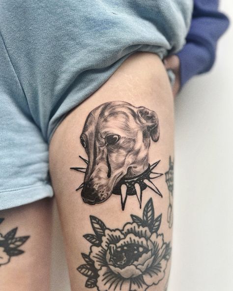 Italian greyhound 🩵 done at @opheliatatouage #tattoo #greyhoundtattoo #italiangreyhoundtattoo #iggytattoo Traditional Greyhound Tattoo, Greyhound Tattoo, Italian Greyhound, Greyhound, New Tattoos, I Tattoo, Body Art, Doodles, Tattoos