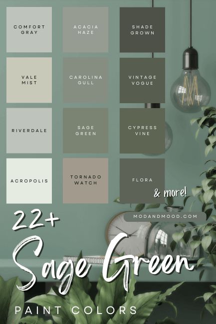 Sage Green And Accent Colors, Shade Grown Color Palette, Tornado Watch Paint Color, Decorating With Grays And Greens, Soft Olive Green Paint, Dark Sage Paint Color, Shade Grown Paint, Paint Colors That Go With Sage Green, Flora Paint Color