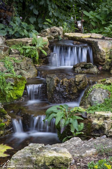 Fountains Backyard Waterfalls, Moss Waterfall, Waterfall Landscaping, Backyard Waterfall, Landscape Backyard, Splash Zone, Landscaping Backyard, Garden Pond Design, Natural Waterfalls