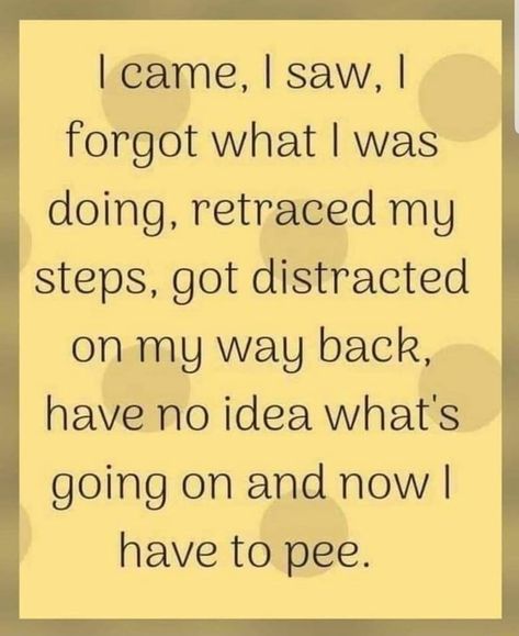 I came, I saw, I forgot what I was doing, retraced mg steps, got distracted on mg wag back, have no idea what's going on and nowl have to pee. – popular memes on the site ifunny.co Hilarious Inspirational Quotes, Funny Motivational Quotes Humor, Funny Sayings And Quotes, I Have To Pee, To Pee, Golden Years, Sarcastic Quotes Funny, Quotable Quotes, Sarcastic Quotes