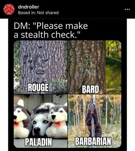 Nerd Memes, D D Funny, Dnd Stories, Dungeons And Dragons Memes, Dragon Memes, Dnd Funny, Dnd Dragons, Dungeons And Dragons Characters, D&d Dungeons And Dragons