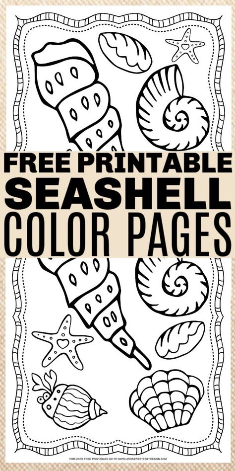 Shell Coloring Pages, Seashell Coloring Pages, Under The Sea Activity, Seashells Template, Coloring Sheets For Boys, Coloring Doodles, Summer School Crafts, Preschool Classroom Ideas, Ocean Theme Preschool