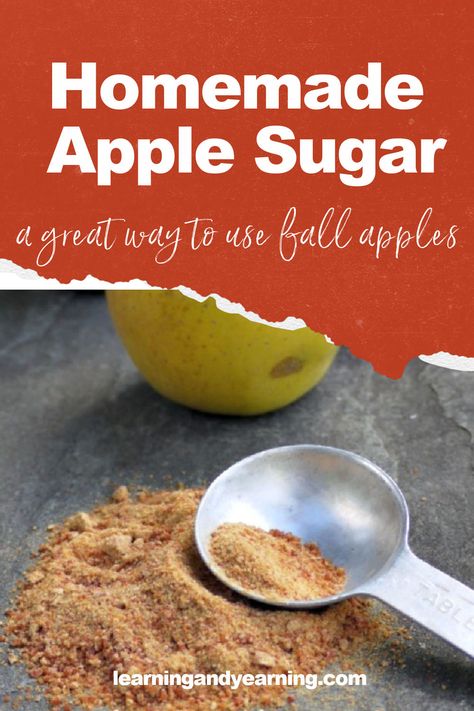 Apple Sugar Winter Treats, Dehydrated Fruit, Homemade Spices, Homemade Seasonings, Dehydrated Food, Homemade Apple, Dehydrator Recipes, Natural Sweeteners, Canning Recipes