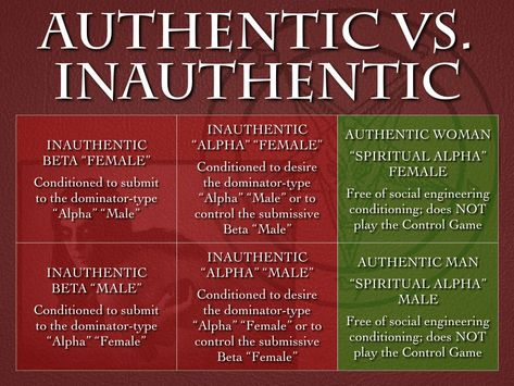 Inauthentic vs authentic alpha beta male female by mark passio of what on earth is happening Mark Passio, Energy Healing Spirituality, Alpha Female, Parts Of Speech, Mission Statement, Energy Healing, How To Know, On Earth, Psychology