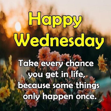 Happy Hump Day Wednesday, Good Morning Happy Hump Day, Happy Wednesday Pictures, Hump Day Quotes, Happy Wednesday Images, Wednesday Morning Quotes, Wednesday Greetings, Hump Day Humor, Good Happy Quotes