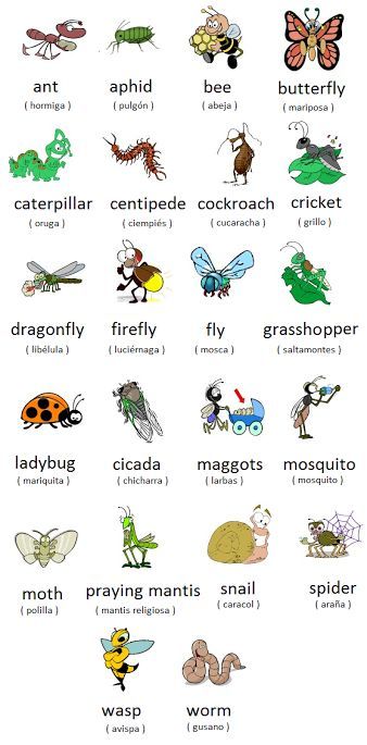 Imagen insertada English Vocab, Kids English, English Fun, Spanish Vocabulary, English Activities, English Course, English Idioms, Learn Spanish, Learn English Vocabulary