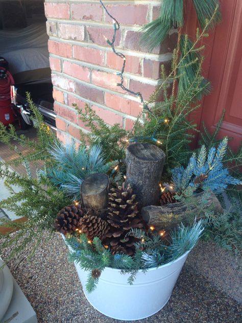 Outdoor Christmas fern decoration! Christmas Fern, Plants Decor, Christmas Outdoor, Outdoor Plants, Outdoor Christmas, Plant Decor, Holiday Ideas, Diy Christmas, Fern